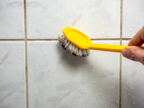 Best Mold Removal Company Near Me  in Delta, OH