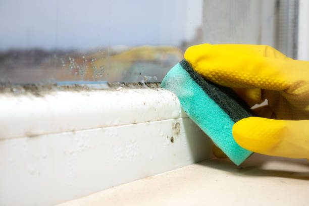 Water Damage Restoration in Delta, OH